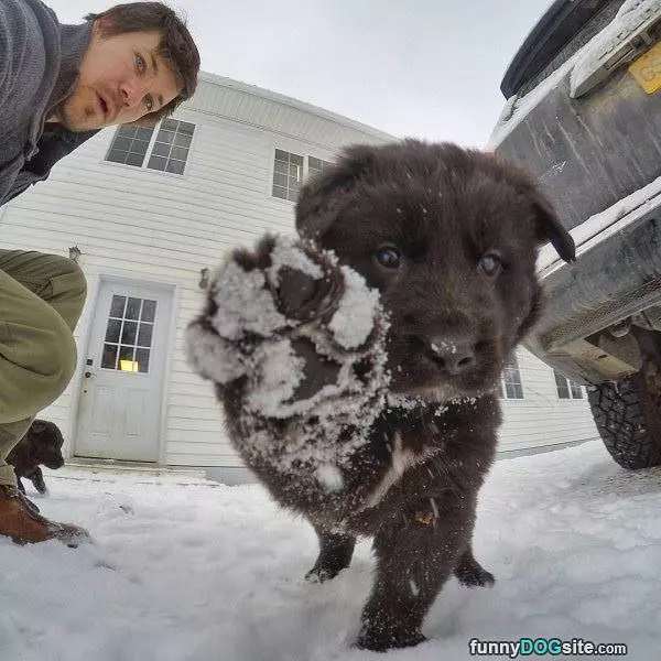 High 5