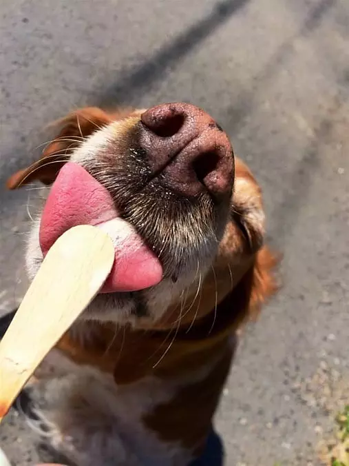 Getting My Snack