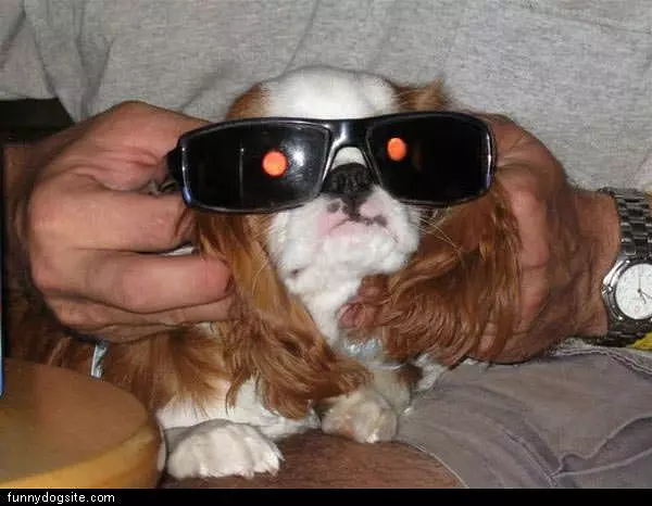 Nice Glasses