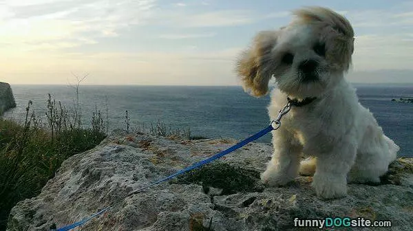 Nice Windy Day