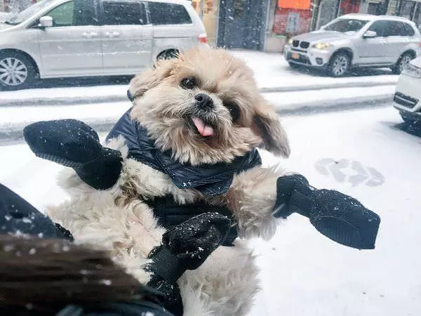 Winter Can Be Fun