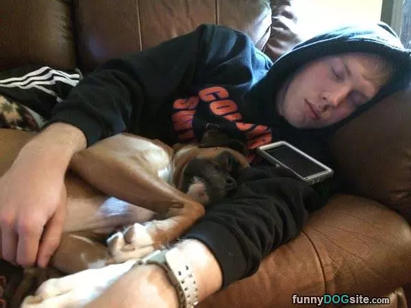 A Doggy Nap