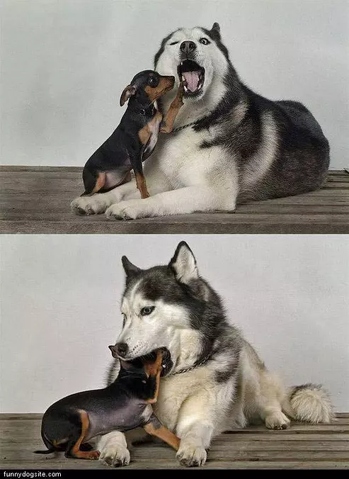 Fair Fight