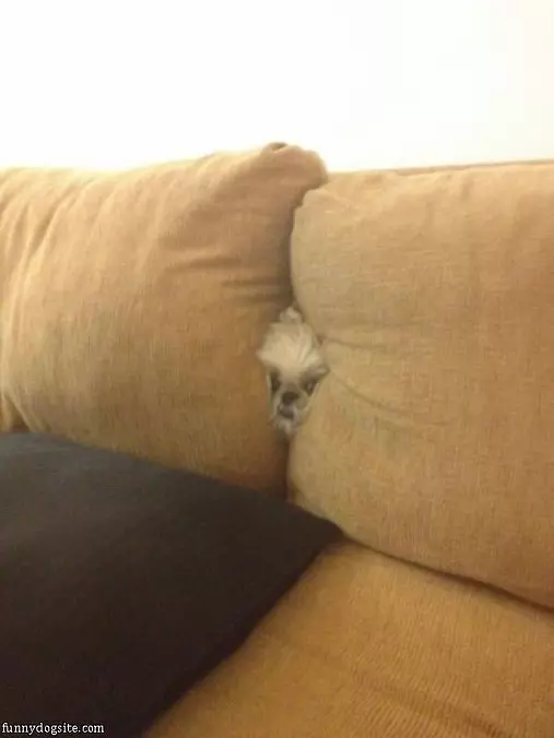 Im Stuck Help Me