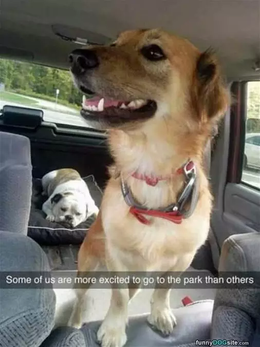 More Excited Than Others
