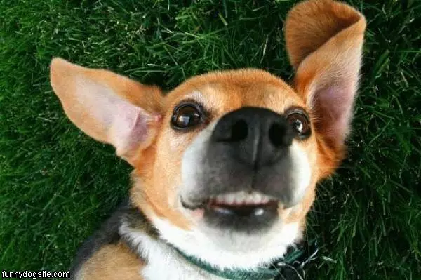 Cute Smile