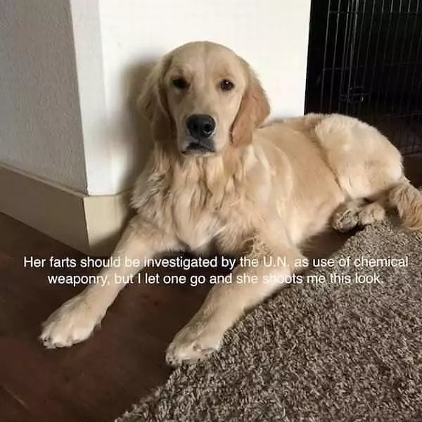 Gave Me This Look