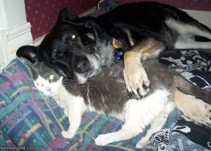 Hugging