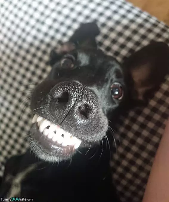 Well Hello There