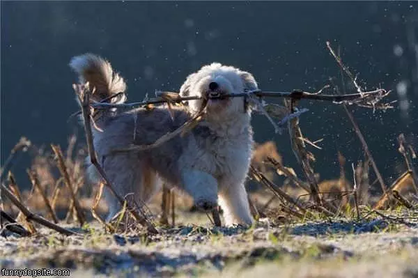 Stick