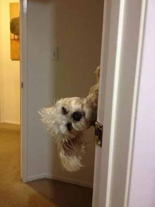 Hey You