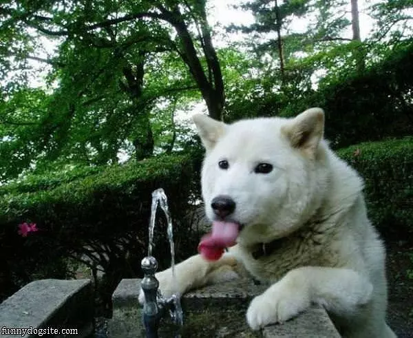 Getting Myself A Sip