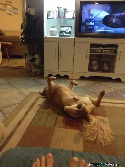 Relaxing By The Tv