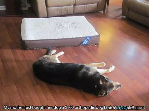 Nice Expensive Bed