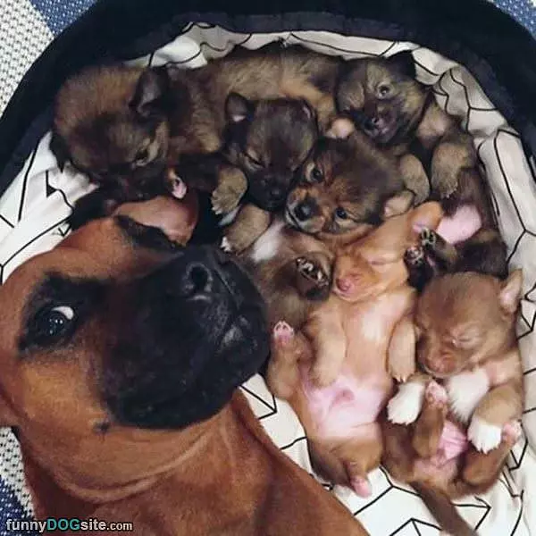 Selfie With The Family