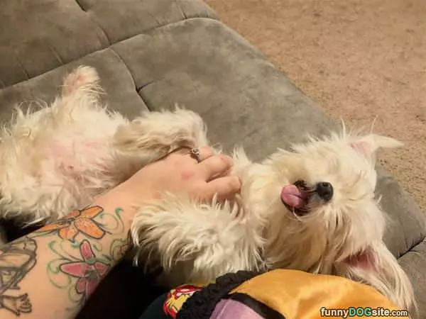 Belly Rubs