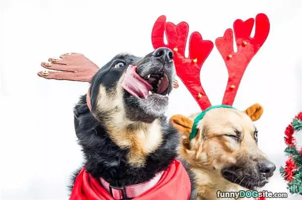 The Holidays Are The Best Time