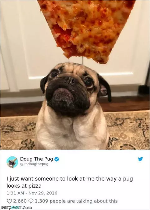 I Want A Bite Of This