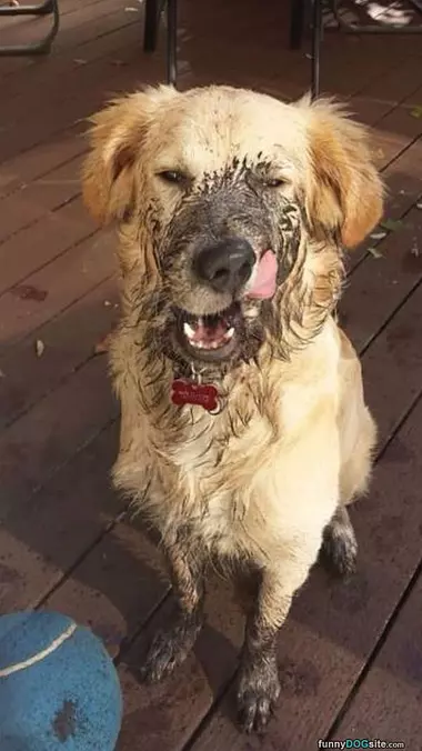 Playing Outside Is So Fun