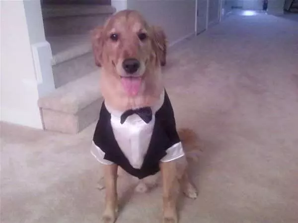 Jimmy Tux