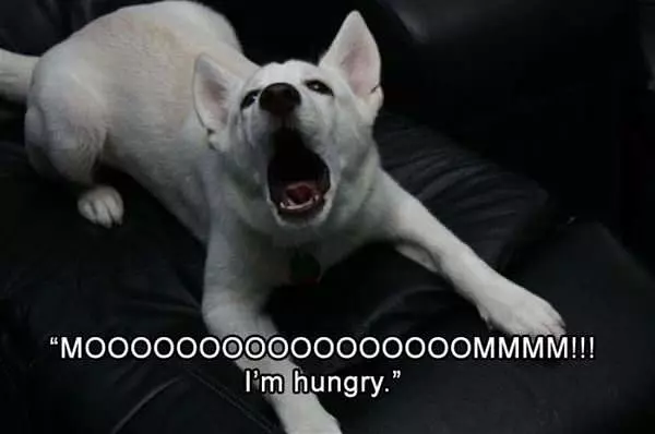 Moooooooooom