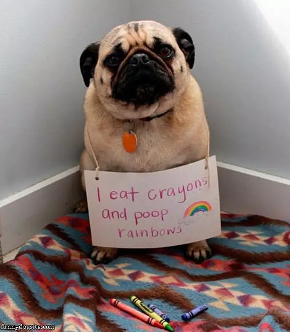 I Eat Crayons