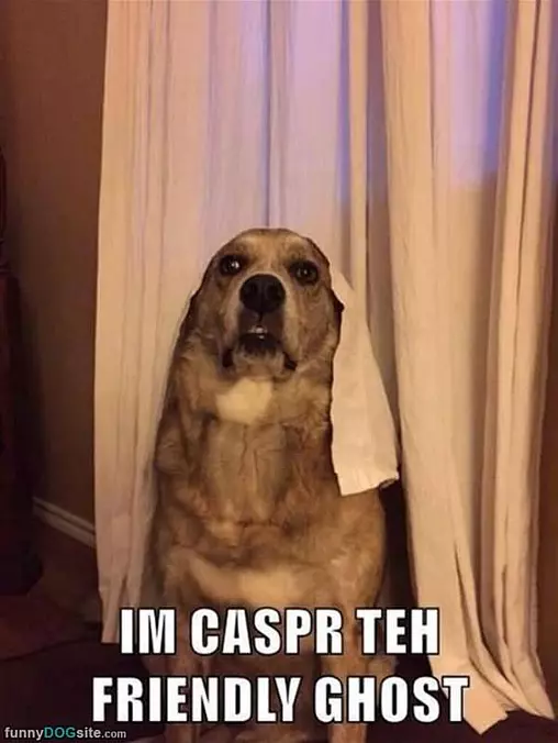 Casper The Friendly Ghost