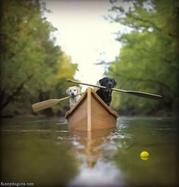 Whatever It Takes To Fetch