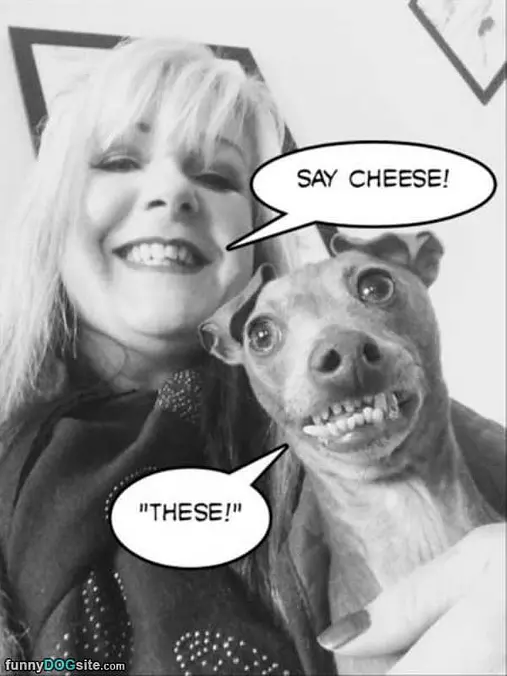 Say Cheeeese
