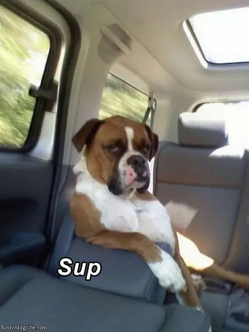 Sup