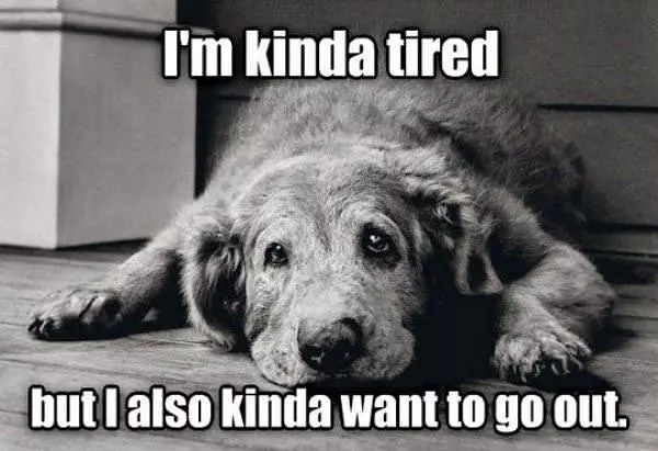 Im Kinda Tired