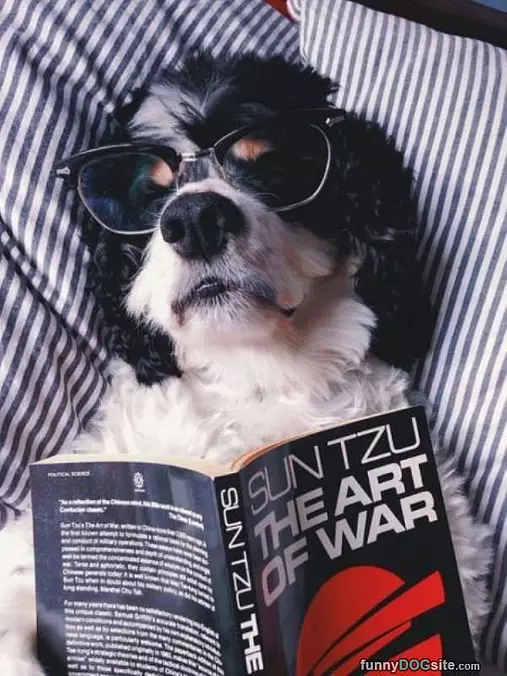 Book Made Me Sleepy