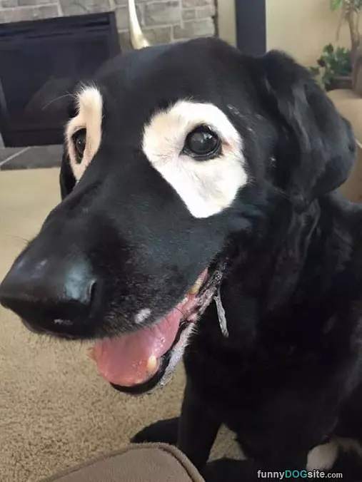 Cool Eyes
