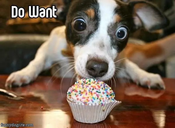Do Want
