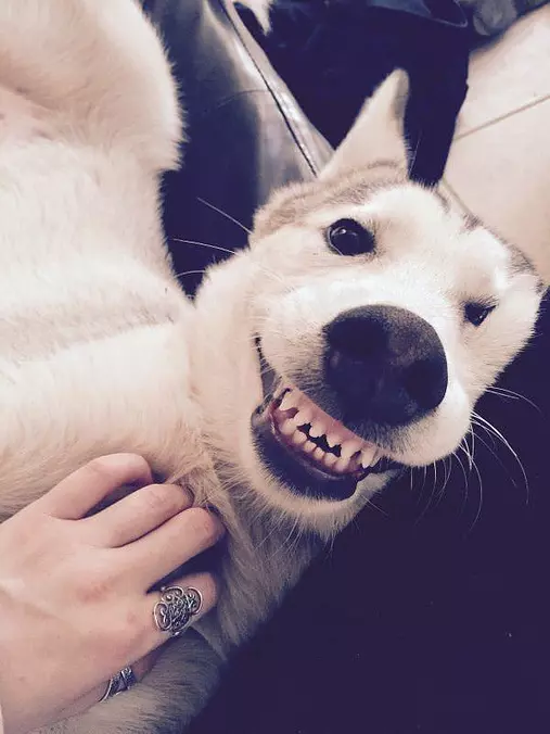 My Big Smile
