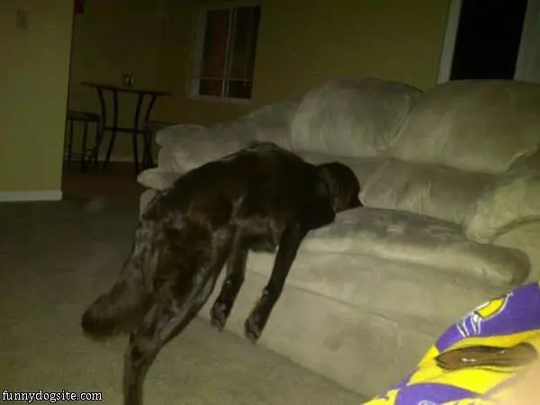 This Is How I Sit Today