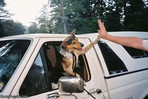 High 5