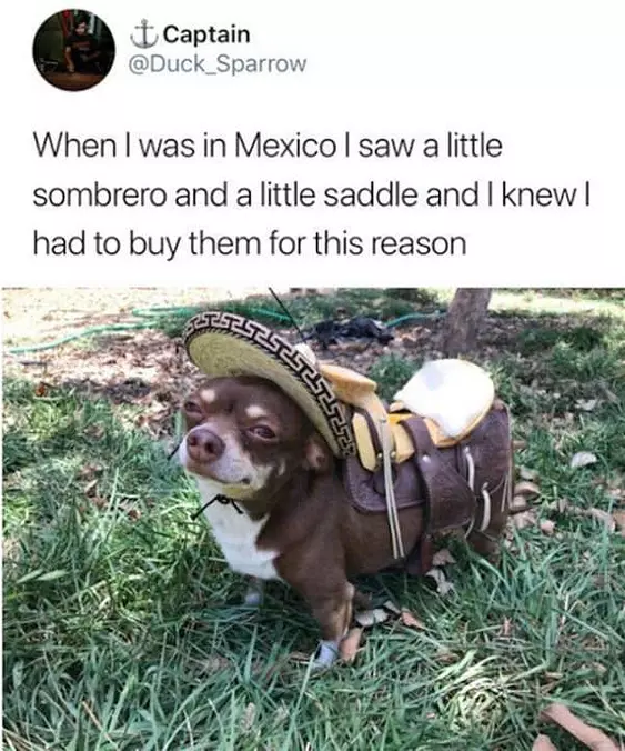 Saw A Little Saddle