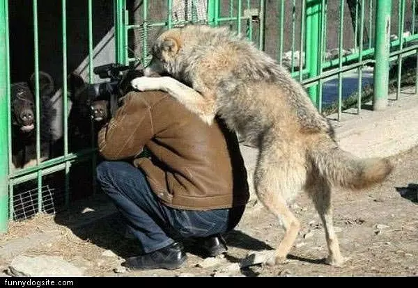 Let Me See