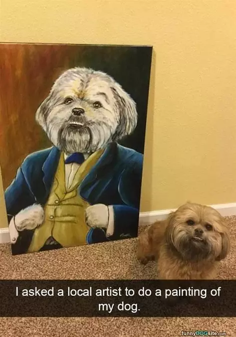 Painted My Dog
