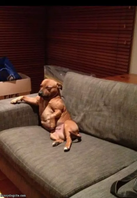 I Sit Here How I Want