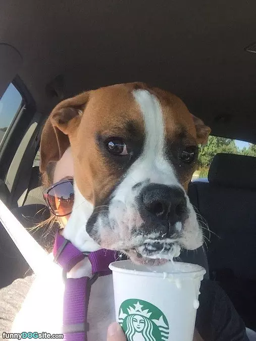 Taking Myself A Sip