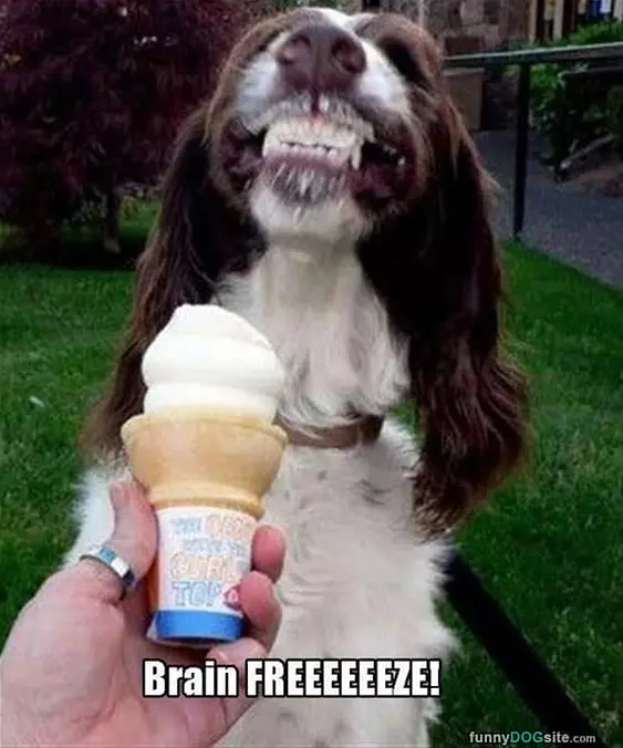 Brain Freeze