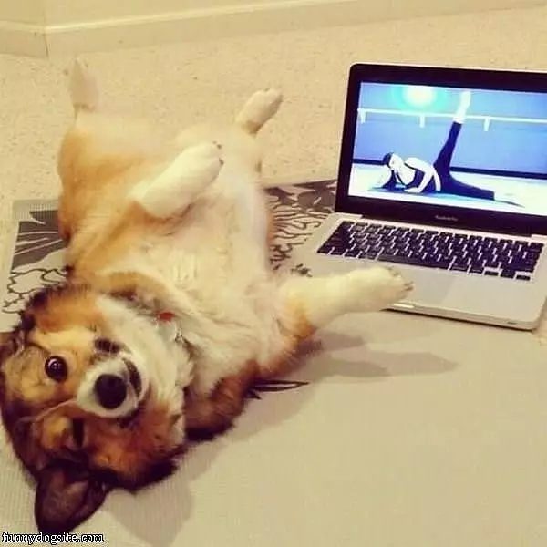 How I Do Yoga
