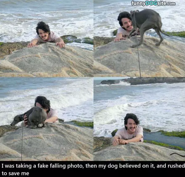 Fake Falling