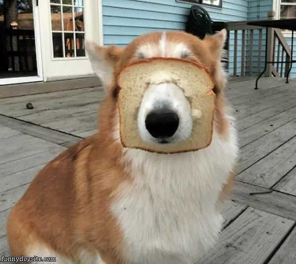 My Mask