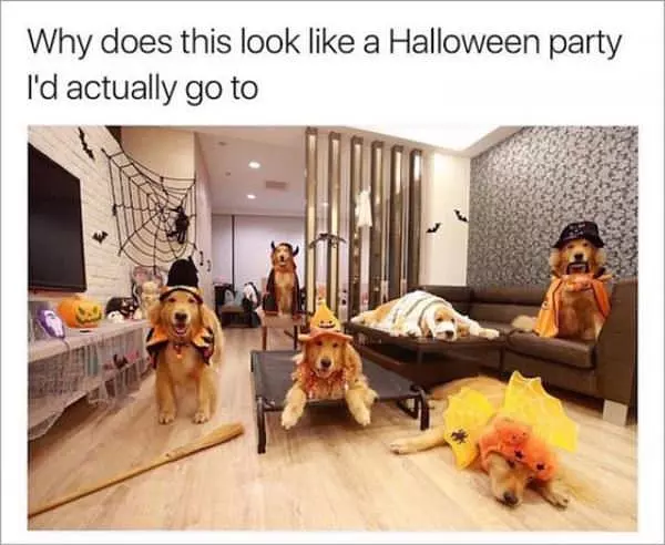 A Halloween Party