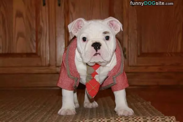 Ready For My Meeting