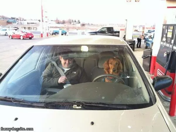 Better Buckle Up