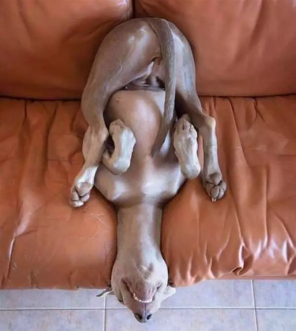 Laying On My Back